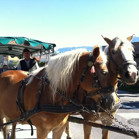 Nocleg ze śniadaniem Lilly