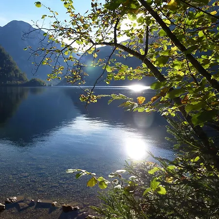 Nocleg ze śniadaniem Lilly