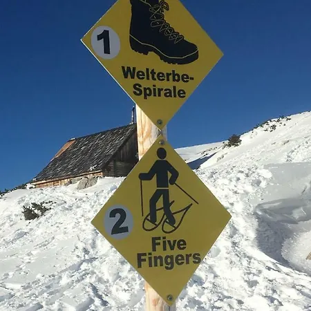 Lilly Nocleg ze śniadaniem