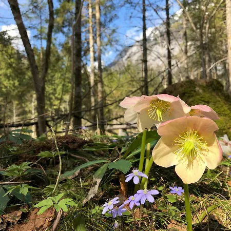 Nocleg ze śniadaniem Lilly