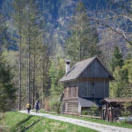 Bed and Breakfast Lilly