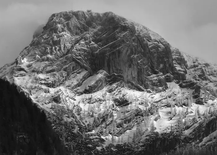 Bed and Breakfast Lilly