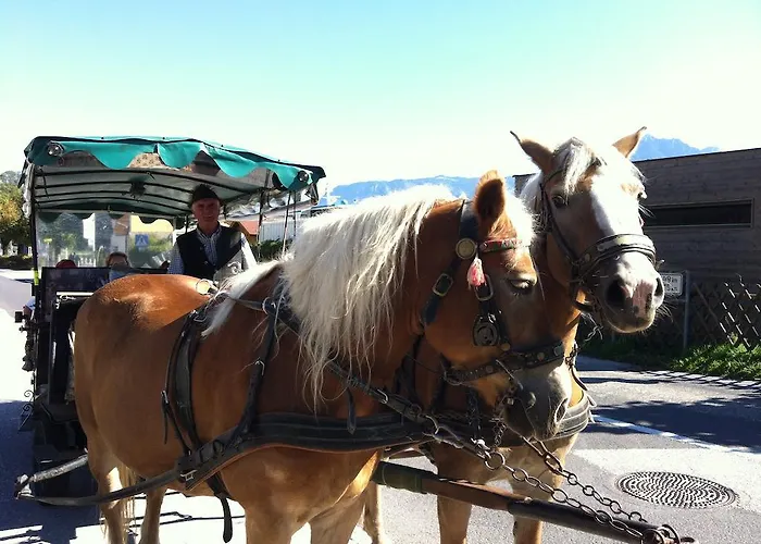 Bed and Breakfast Lilly