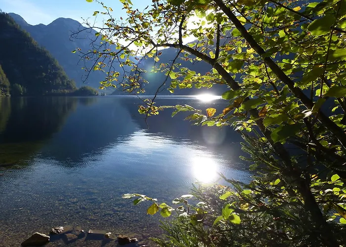 Bed and Breakfast Lilly