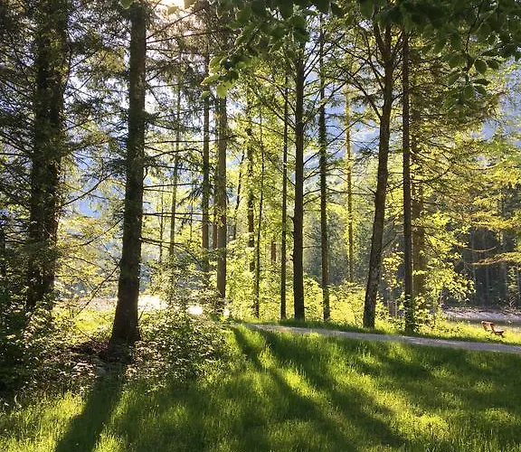 Lilly Bed and Breakfast 4*