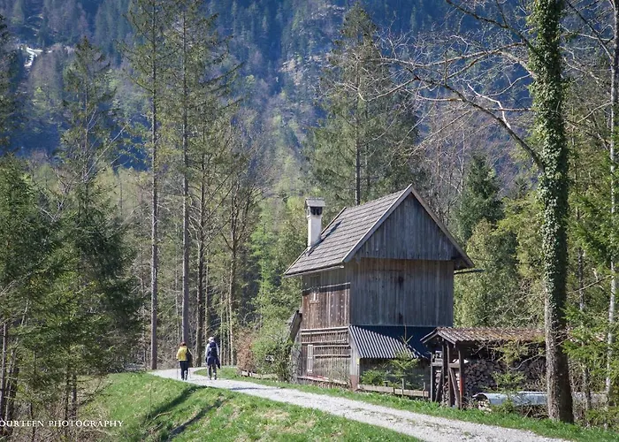 Bed and Breakfast Lilly