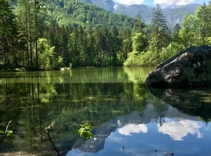 Lilly Όμπερτραουν