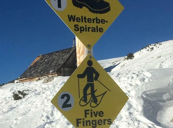 Lilly Bed & Breakfast